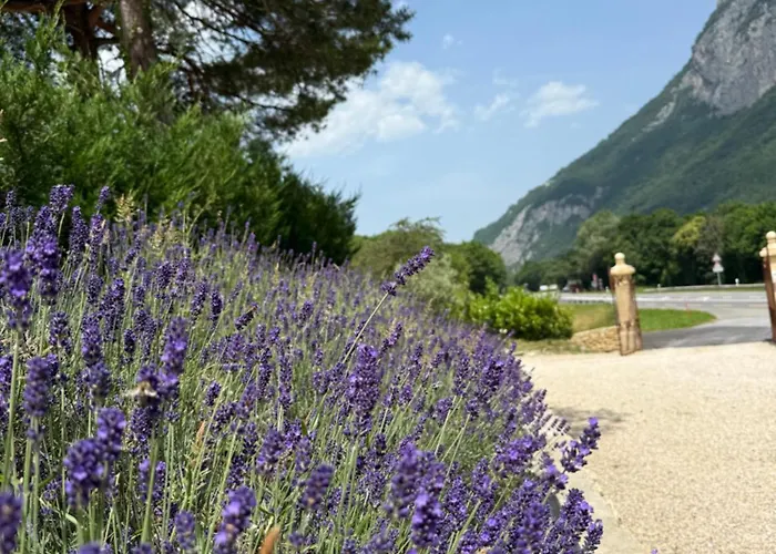 בית הארחה Rotisserie