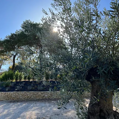 게스트하우스 Rotisserie 4*